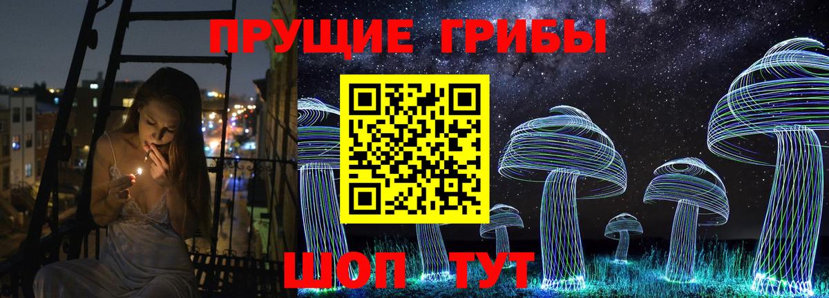 Галлюциногенные грибы прущие грибы Сальск
