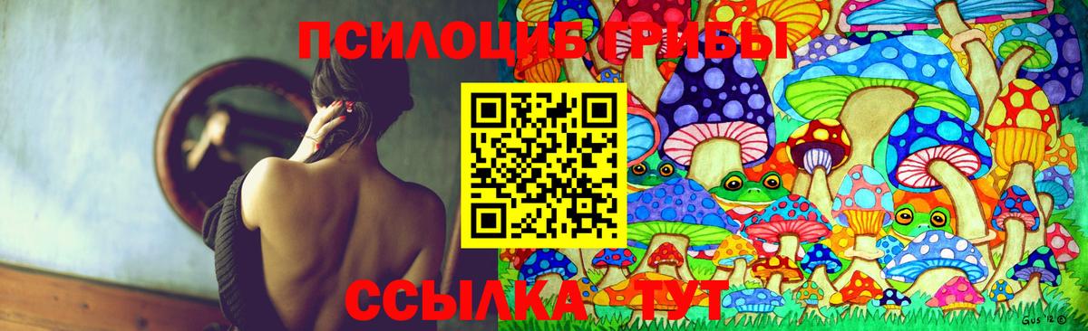 Сальск  Псилоцибиновые грибы прущие грибы  Вход с VPN 